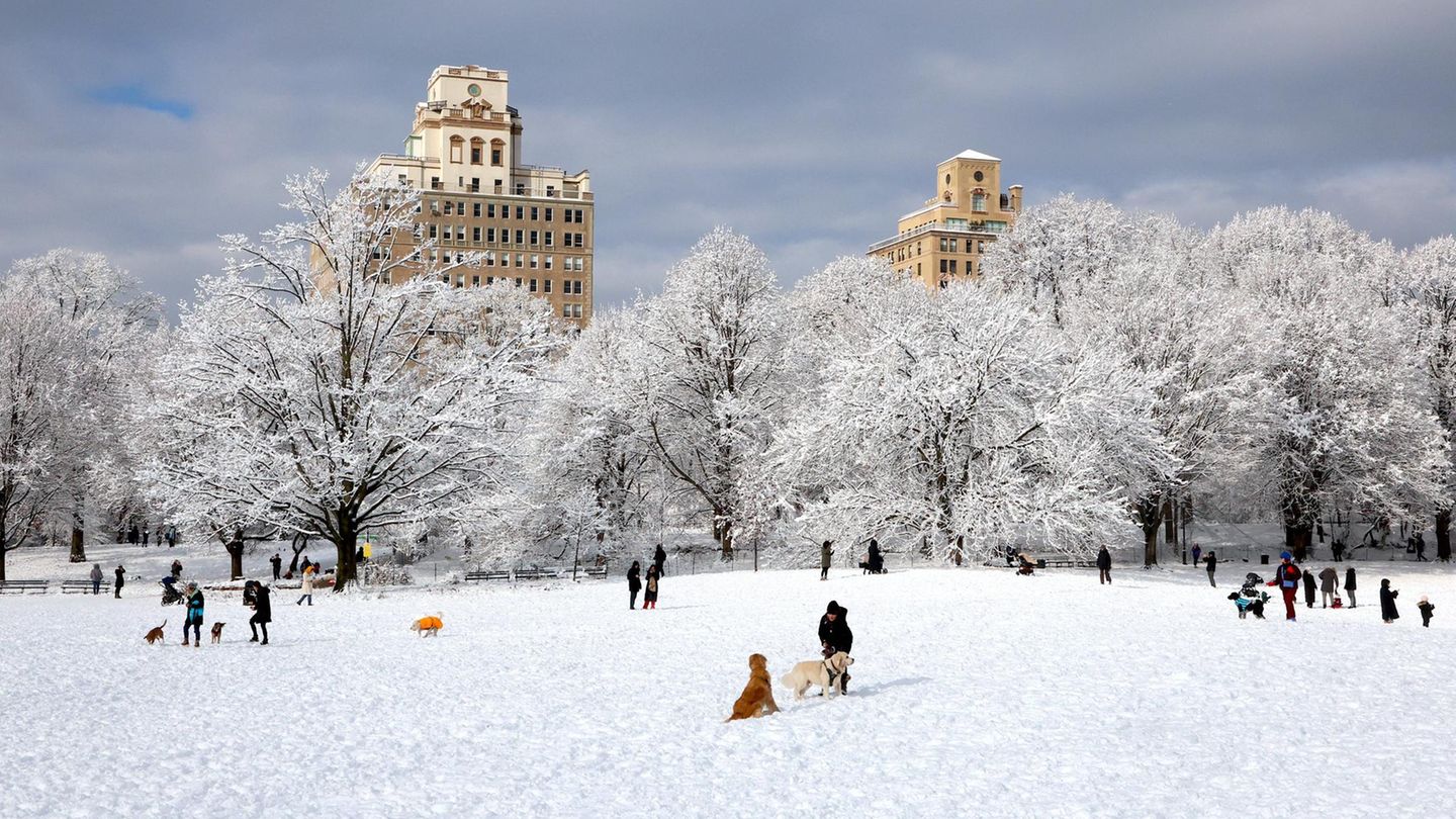 Central Park mit weißer Decke