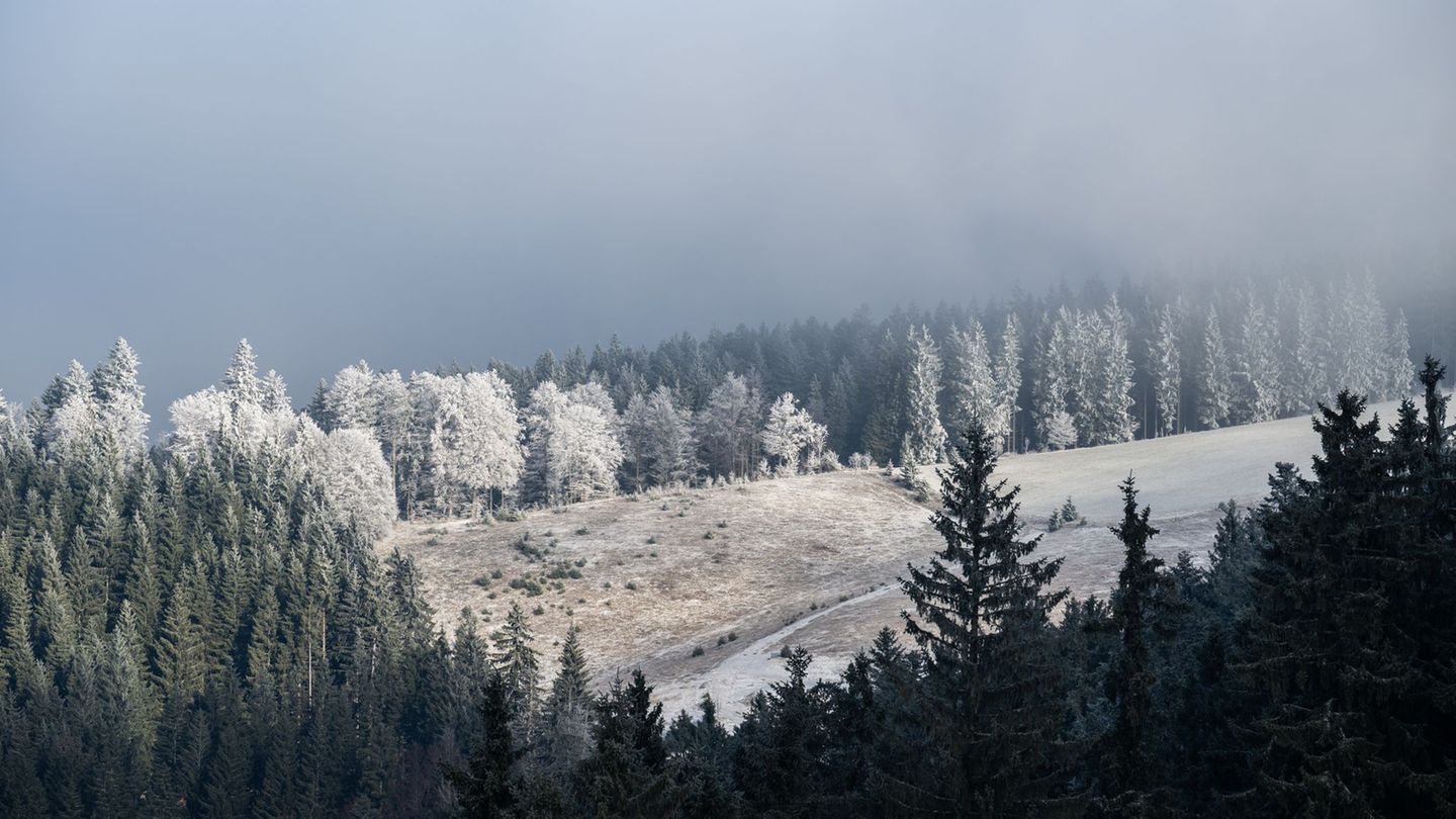 Es ist Winter in Baden-Württemberg. (Archivbild) Foto: Silas Stein/dpa