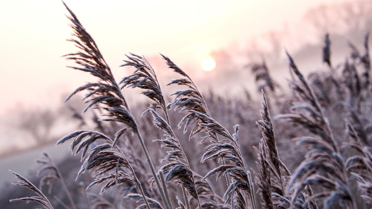 Auch wenn sich die Temperaturen zu Beginn der neuen Woche tagsüber im Plusbereich befinden, bleibt es in den Nächten frostig. (S