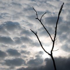 In Mecklenburg-Vorpommern kann in den kommenden Tagen immer wieder etwas Sonnenschein durch die Wolken fallen. (Symbolbild) Foto