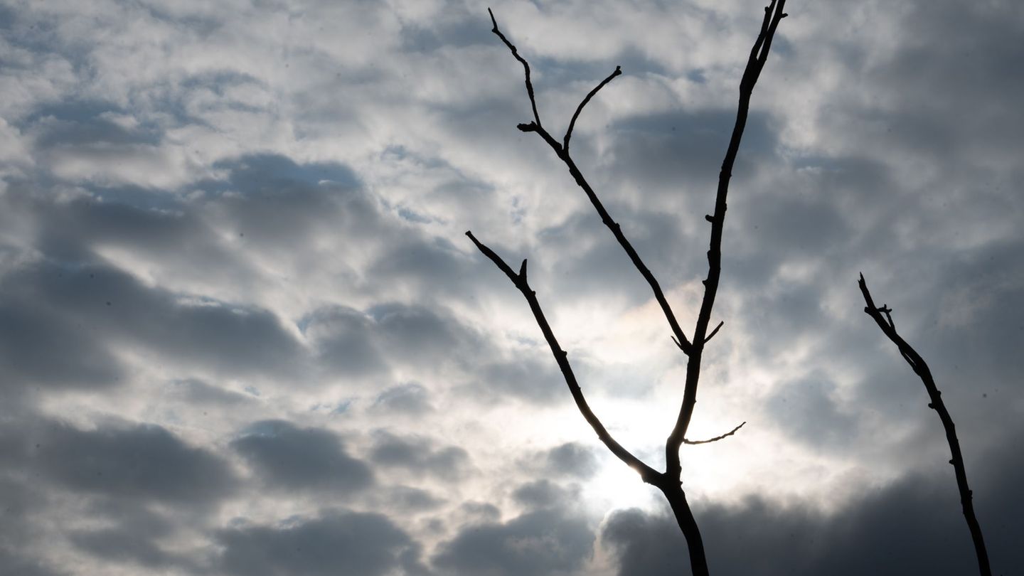 In Mecklenburg-Vorpommern kann in den kommenden Tagen immer wieder etwas Sonnenschein durch die Wolken fallen. (Symbolbild) Foto