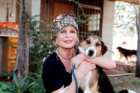 Brigitte Bardot mit einem geretteten Hund