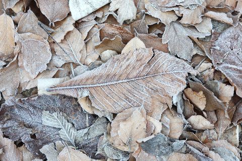 In den kommenden Tagen kann es Sprühregen und Glätte geben. (Symbolbild) Foto: Matthias Bein/dpa