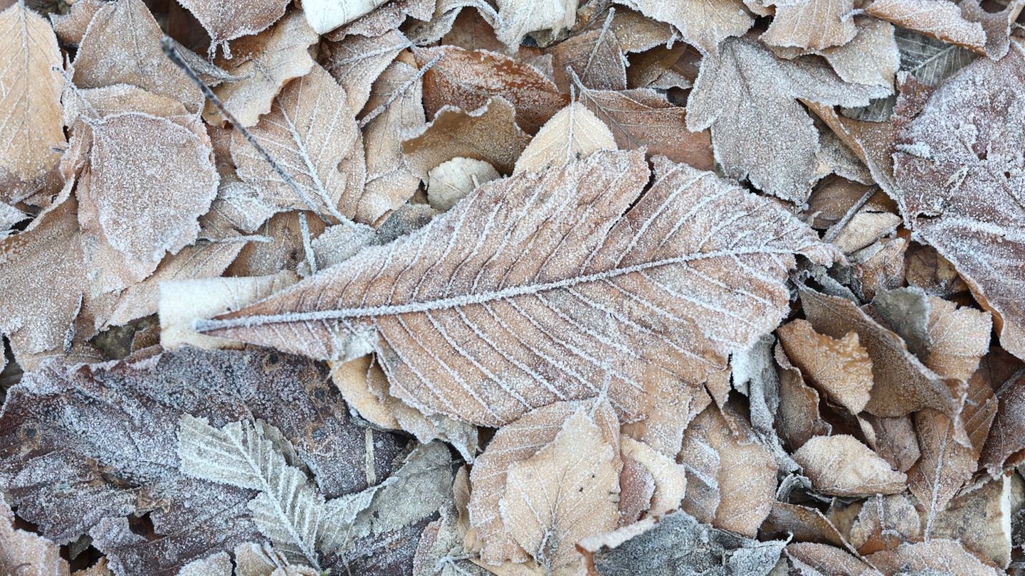 In den kommenden Tagen kann es Sprühregen und Glätte geben. (Symbolbild) Foto: Matthias Bein/dpa