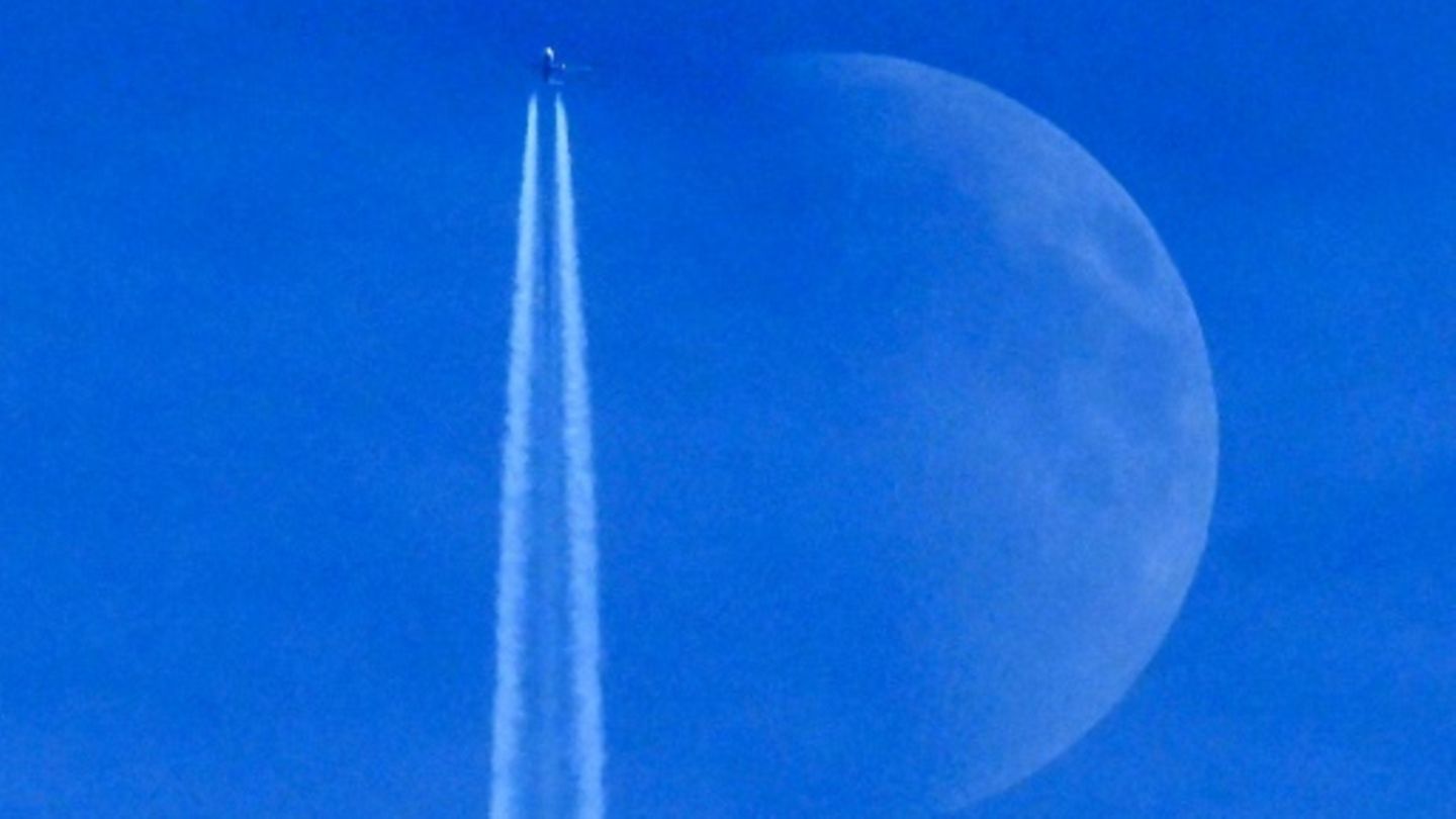 Wohin geht die Reise?