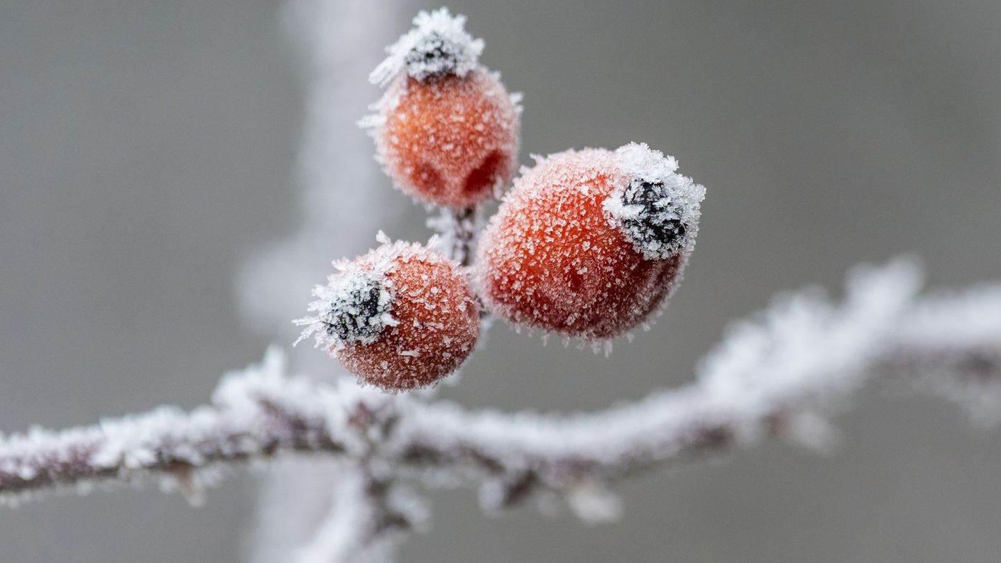 Gerade nachts wird es bitterkalt in Baden-Württemberg. Foto: Silas Stein/dpa