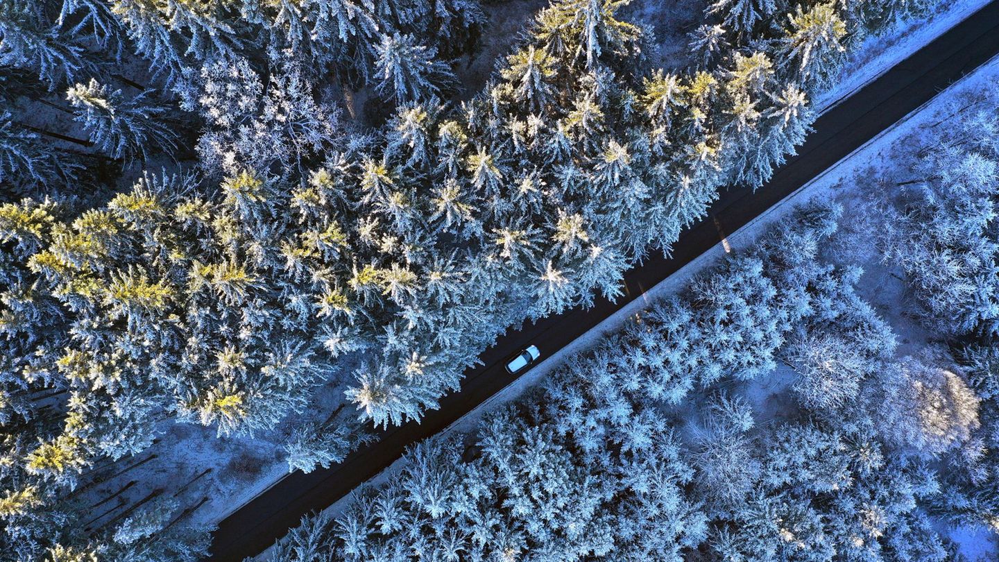 Einen Eiskratzer sollten Autofahrer diese Woche bei sich haben, denn es bleibt frostig. (Symbolfoto) Foto: Karl-Josef Hildenbran