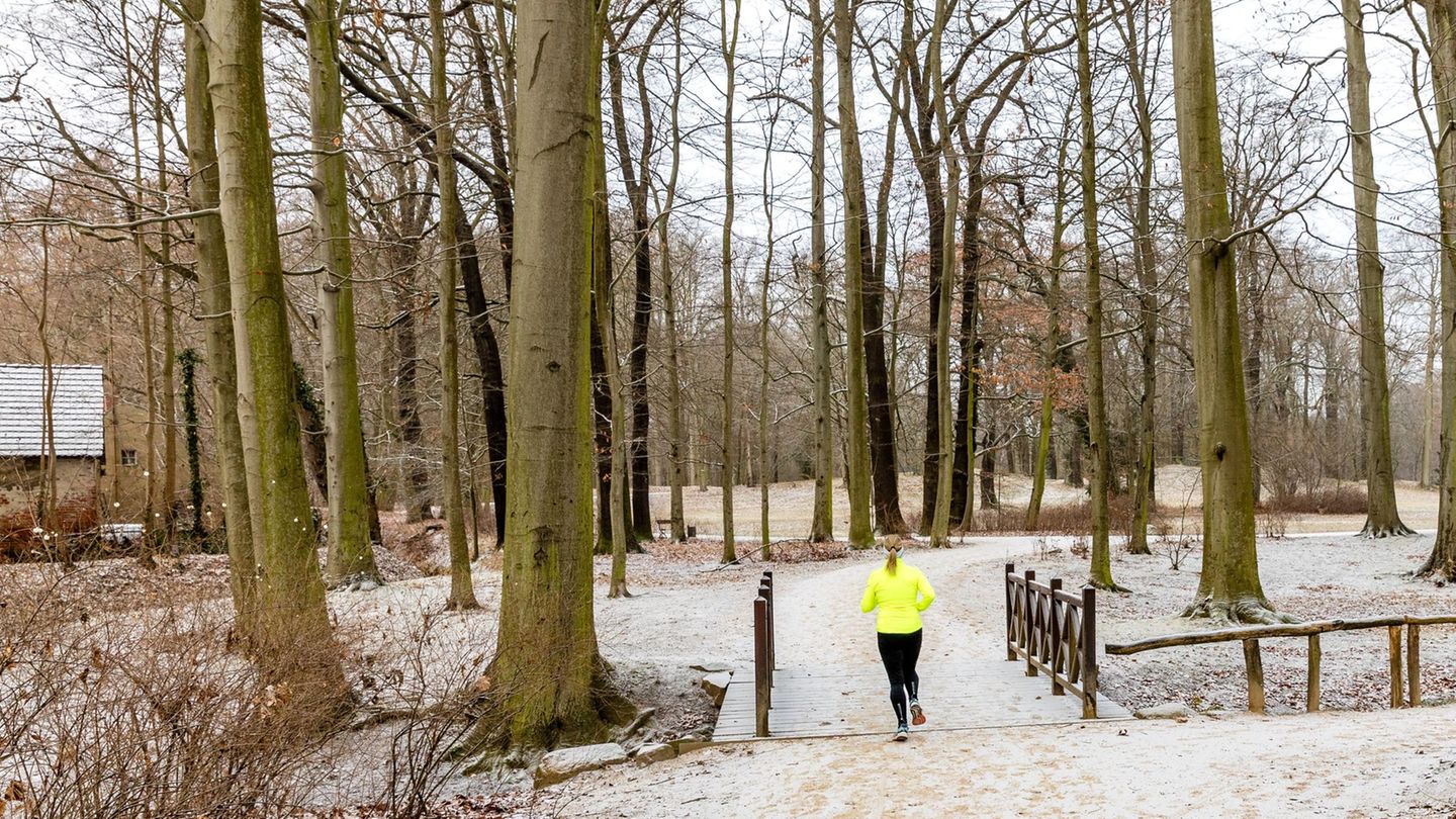 Zum Jahreswechsel könnte es in Berlin und Brandenburg schneien. (Symbolbild) Foto: Frank Hammerschmidt/dpa