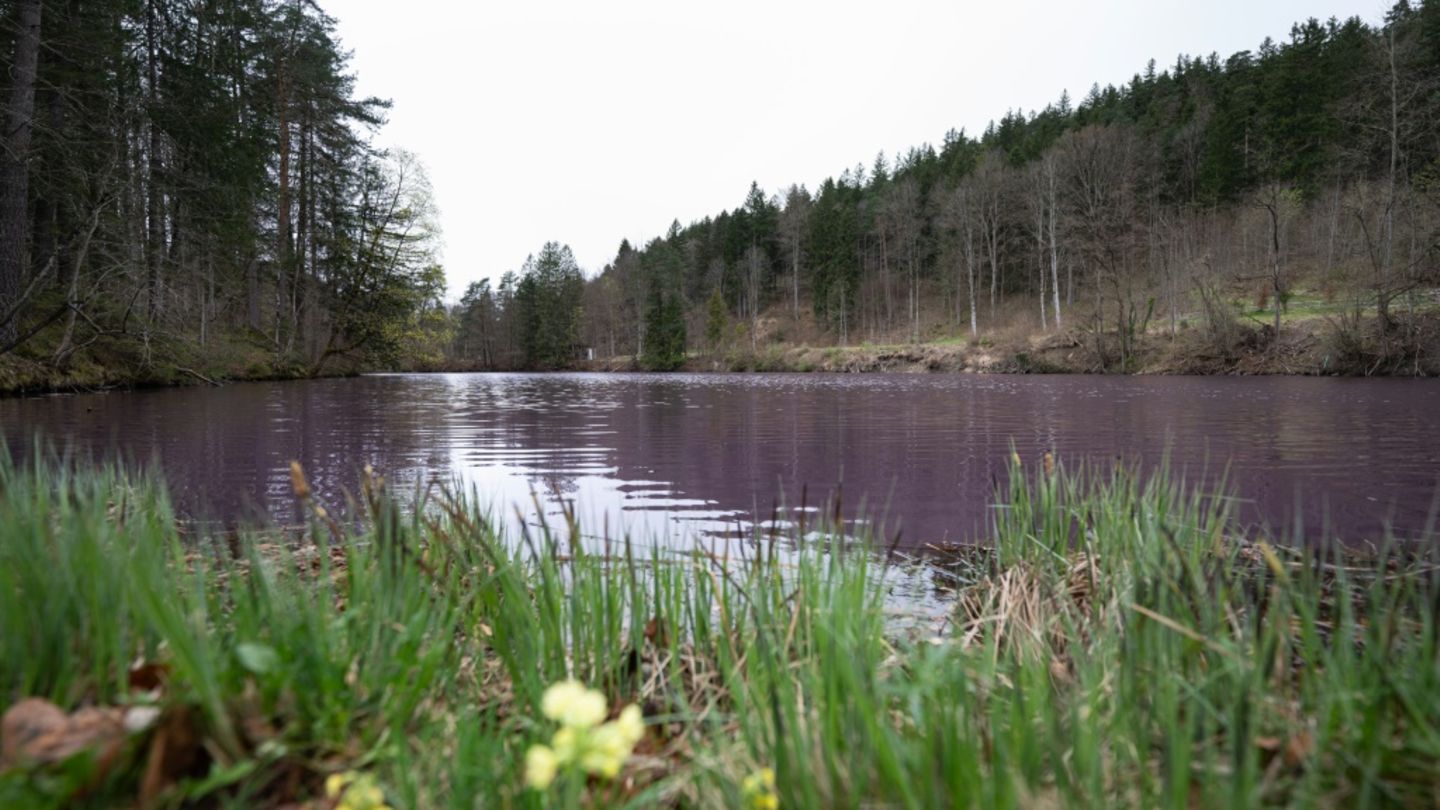See im bayerischen Füssen