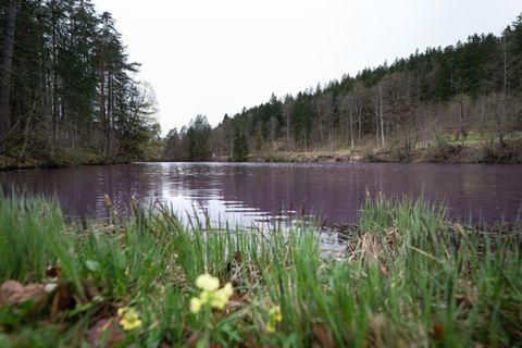 See im bayerischen Füssen
