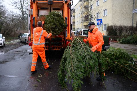 Zwischen dem 10. und dem 24. Januar holt die BSR im kommenden Jahr wieder ausgediente Weihnachtsbäume ab. (Archivbild) Foto: Ber
