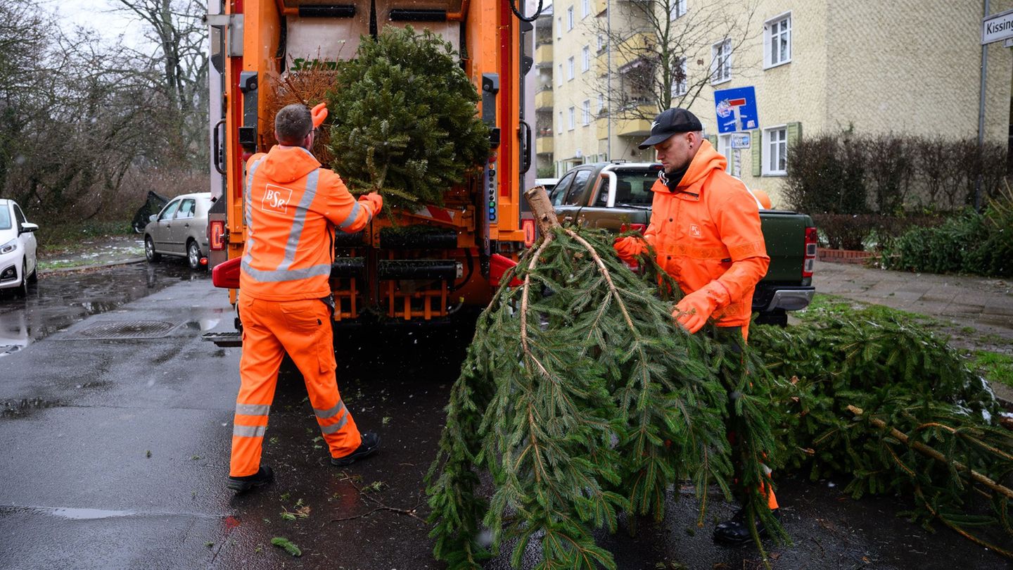 Zwischen dem 10. und dem 24. Januar holt die BSR im kommenden Jahr wieder ausgediente Weihnachtsbäume ab. (Archivbild) Foto: Ber