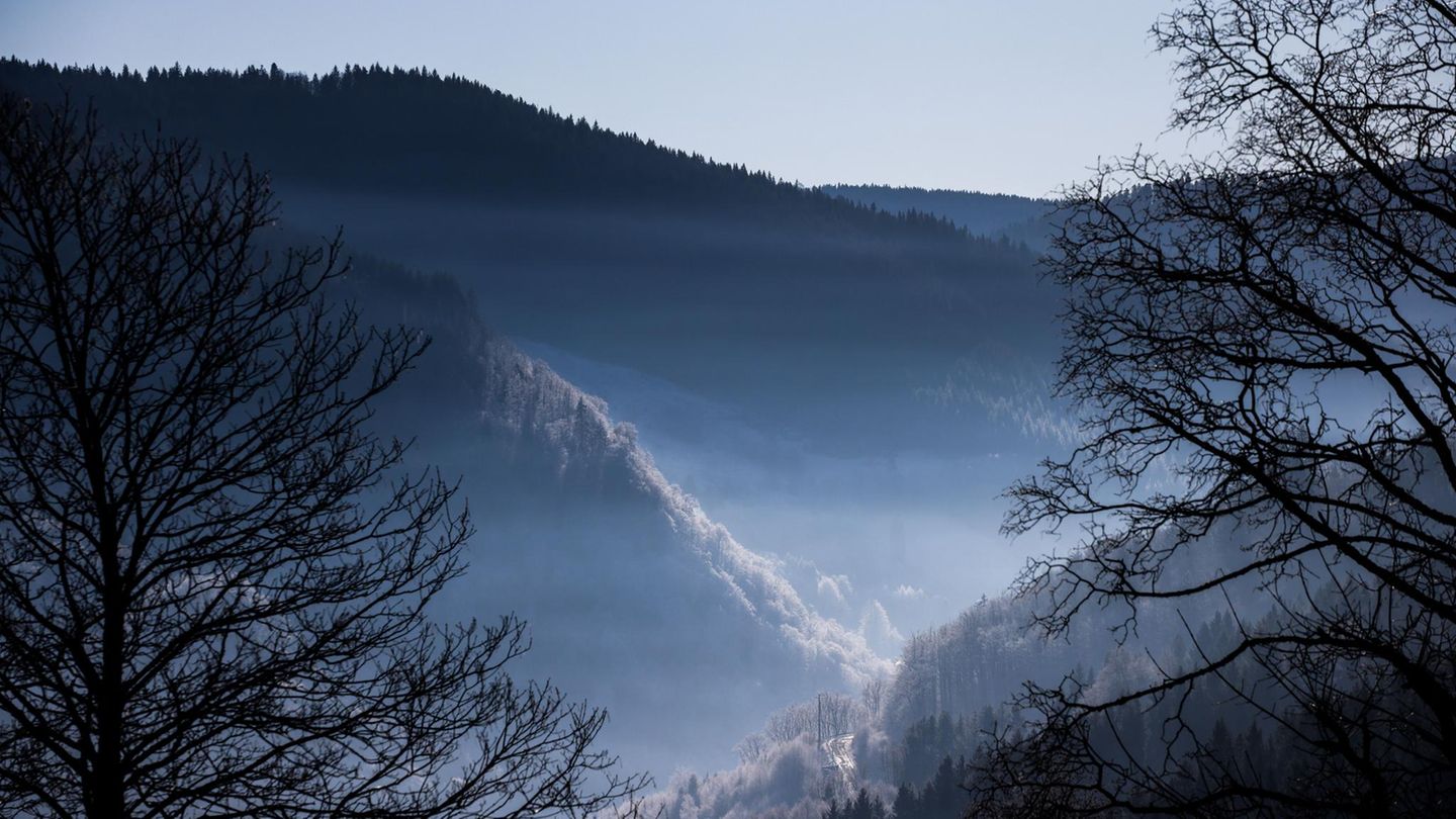 Todtnau, Baden-Württemberg. Nebel hängt zwischen Berghängen in einem frostigen Tal. Aufgrund einer derzeit vorherrschenden Inversionswetterlage im Südschwarzwald ist es auf den Höhenzügen oft wärmer als unten in den Tälern