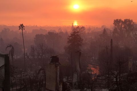 Die Verwüstung durch das Palisades-Feuer in Los Angeles. (Archivbild) Foto: Jae C. Hong/AP/dpa