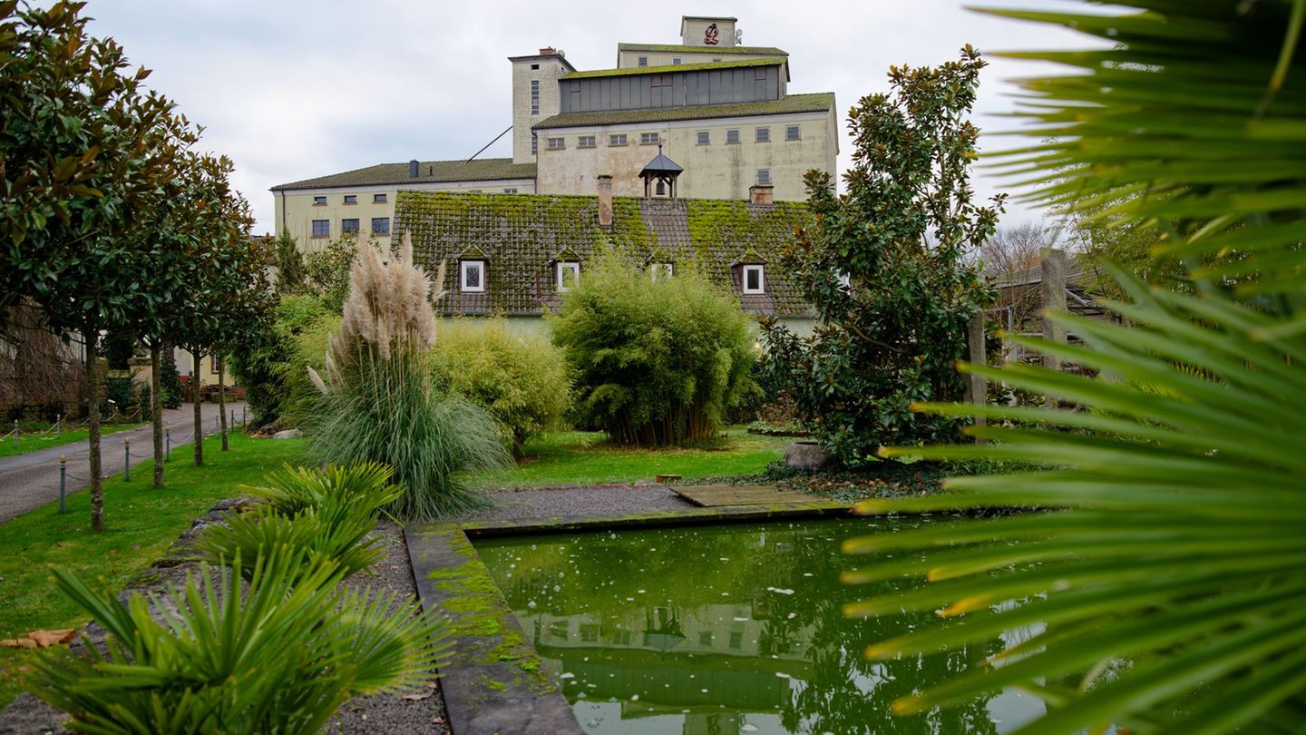 Neben dem denkmalgeschützten Wohnhaus können Besucher im zwei Hektar großen Garten spazieren. (Archivbild) Foto: Uwe Anspach/dpa
