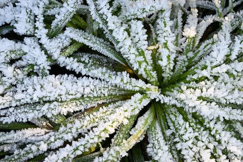 Frostiges Wetter in Hessen. (Symbolbild) Foto: Bernd Weißbrod/dpa