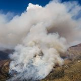 Dichter Rauch nach einem Waldbrand in Chile