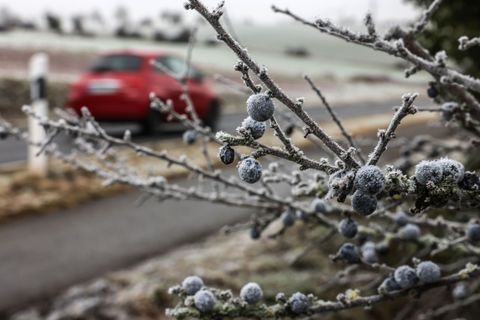 Die Silvesternacht bringt in den Hochlagen etwas Schnee, im Flachland nur Sprühregen. Foto: Oliver Berg/dpa
