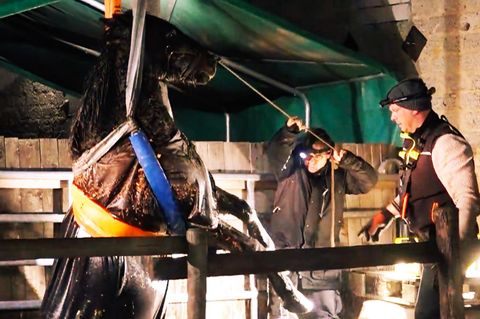 Ein Pferd wird aus einer tiefen Grube gehoben.