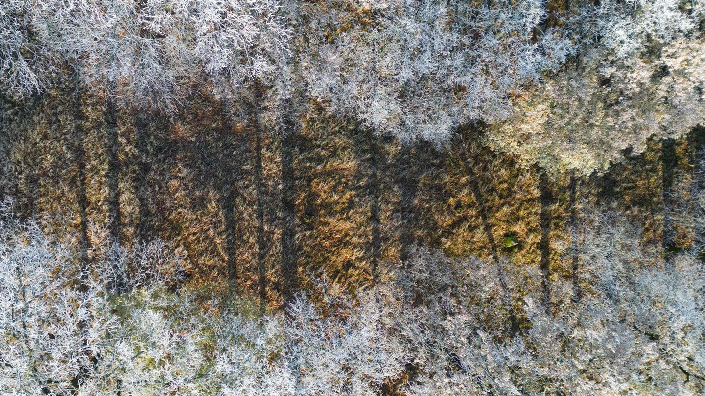 Der Deutsche Wetterdienst hat seine Wetterbilanz veröffentlicht. (Symbolbild) Foto: Patrick Pleul/dpa