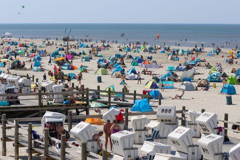 Sonnig und warm, aber etwas zu trocken hat sich das Wetter im Norden im Jahr 2025 präsentiert, wie der Deutsche Wetterdienst (DW