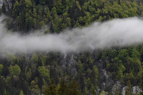 Zwischen Hohenschwangau und Berchtesgaden ließ König Maximilian II. einige Jagd- und Pirschhütten errichten. (Symbolbild) Foto: