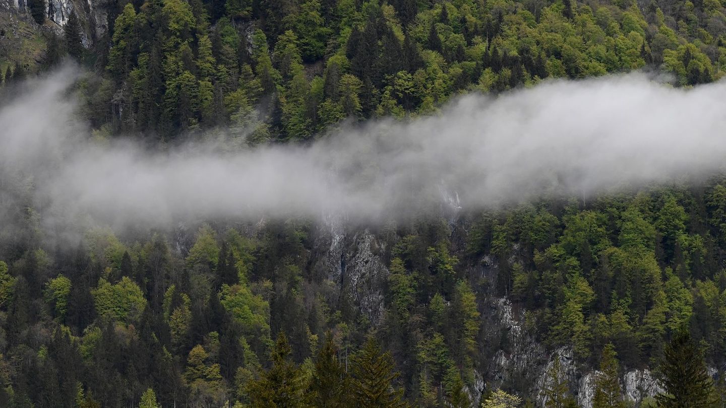 Zwischen Hohenschwangau und Berchtesgaden ließ König Maximilian II. einige Jagd- und Pirschhütten errichten. (Symbolbild) Foto: