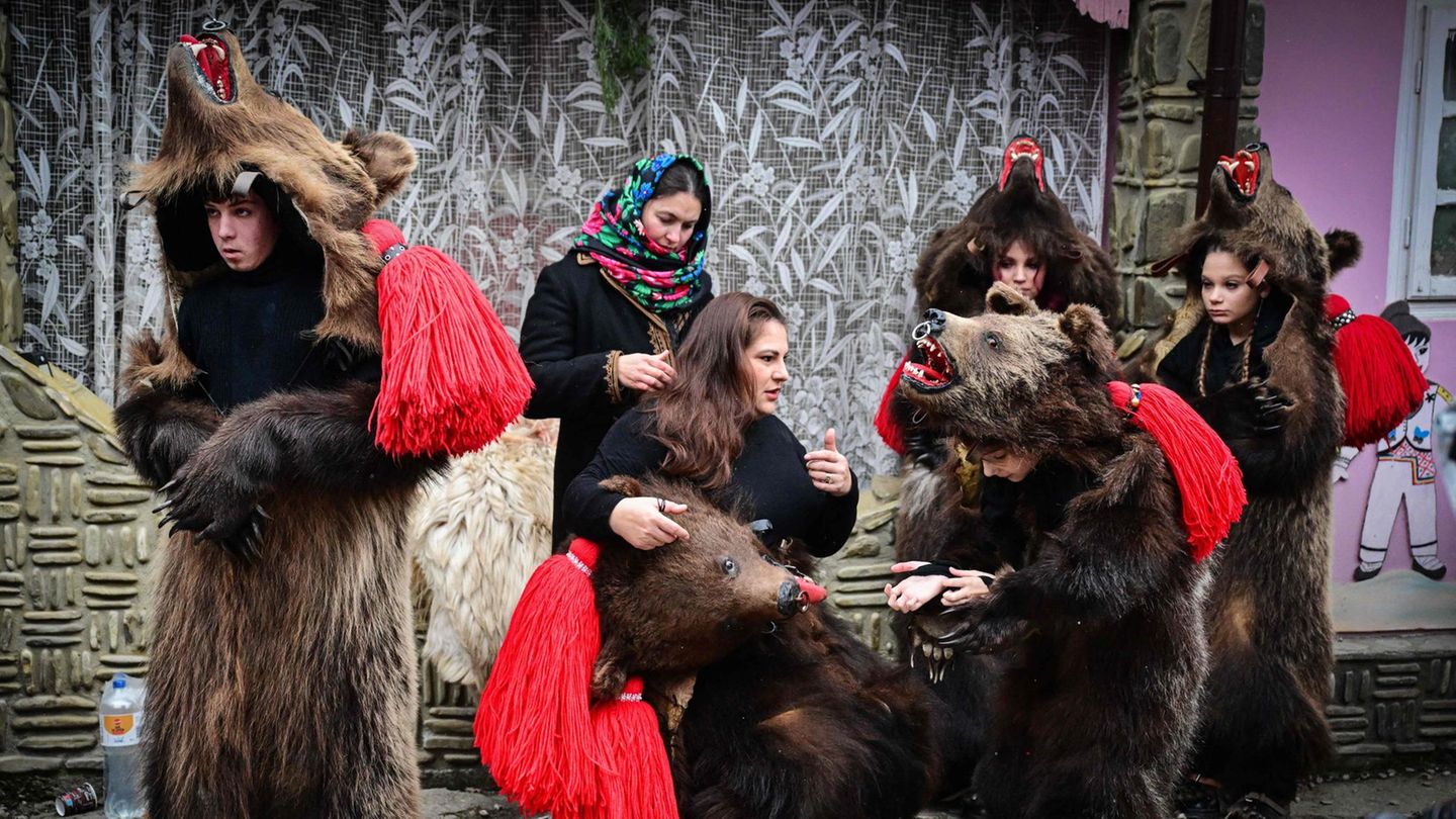 Asău, Rumänien. In dem Dorf nahe der Stadt Comanesti lassen sich Menschen wortwörtlich einen Bären aufbinden. Jedes Jahr findet ein sogenannter Bärentanz als Neujahrsritual statt – auf Rumänisch "Jocul urșilor". Bei dem Brauch ziehen Hunderte Darsteller in echten Bärenfellen durch die Straßen, um den Tod und die Wiedergeburt der Natur zu symbolisieren. Die Tradition stammt aus vorchristlicher Zeit und soll böse Geister für das kommende Jahr vertreiben