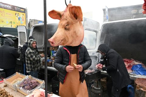 Tierische Täuschung