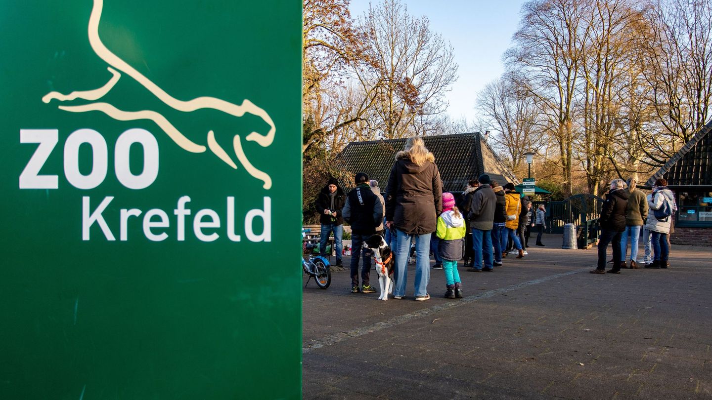 Teile des Zoos bleiben geschlossen.(Archivbild) Foto: Christoph Reichwein/dpa