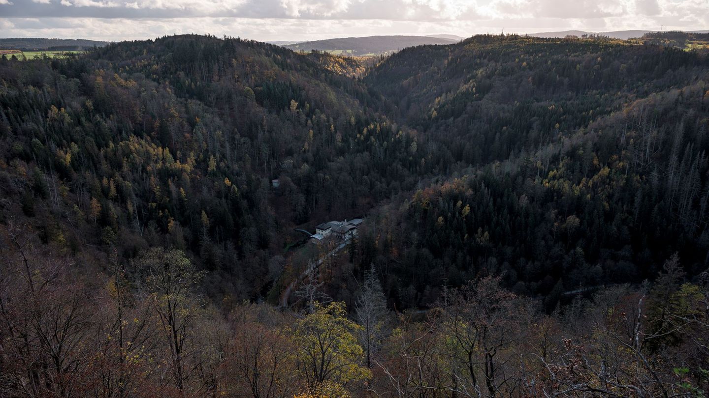 Blick in das Höllental, über das die Höllentalbrücke gebaut werden soll. Foto: Daniel Vogl/dpa
