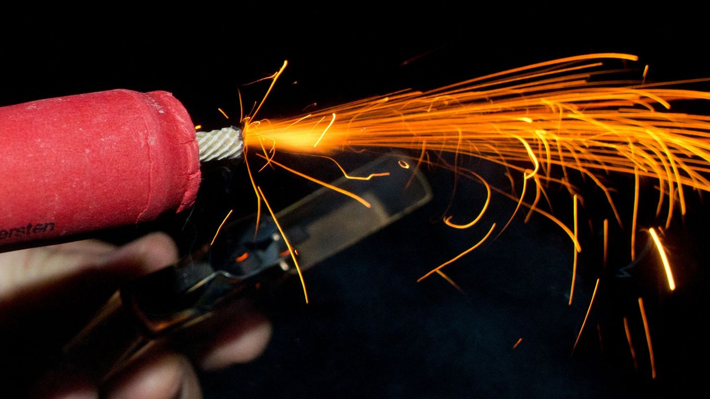 Böller lassen Wildtiere aufschrecken und sorgen bei ihnen für immensen Stress. (Symbolfoto) Foto: Patrick Pleul/dpa-Zentralbild/