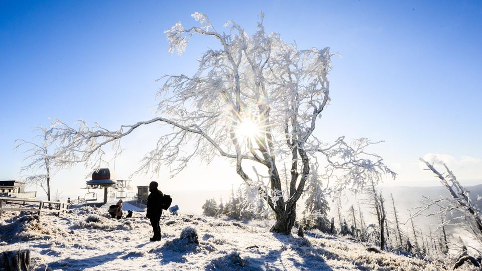 In Braunlage, Niedersachsen, sorgen frostige Temperaturen für ein Winter-Wunderland.
