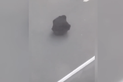 Ein Mann in Teheran führt alleine den Protest gegen die Polizei weiter.