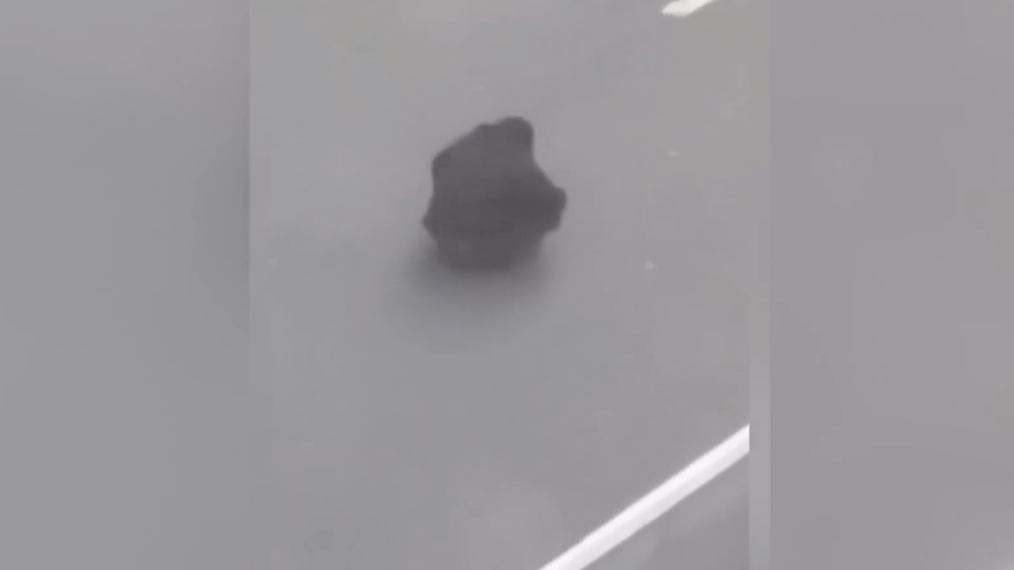 Viraler Hit: Szene mitten in Iran-Protesten: Als alle fliehen, bleibt ein Mutiger sitzen