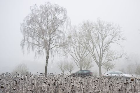 Autofahrer in Rheinland-Pfalz und Saarland erwarten ebenso im neuen Jahr winterliche Straßenverhältnisse. (Archivbild) Foto: Har