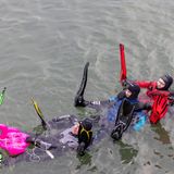 Teilnehmer schwimmen beim traditionellen "Silvesterstromschwimmen" im Rhein.