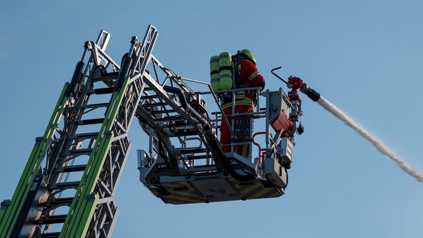 Landkreis Waldeck-Frankenberg: 650 Kühe vor Feuer auf Bauernhof gerettet