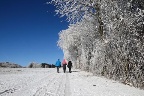 Ein Wintersparziergang zum Start ins neue Jahr ist drin. Foto: Thomas Warnack/dpa