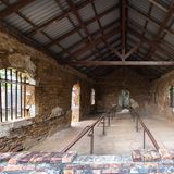 Haie und tropische Krankheiten