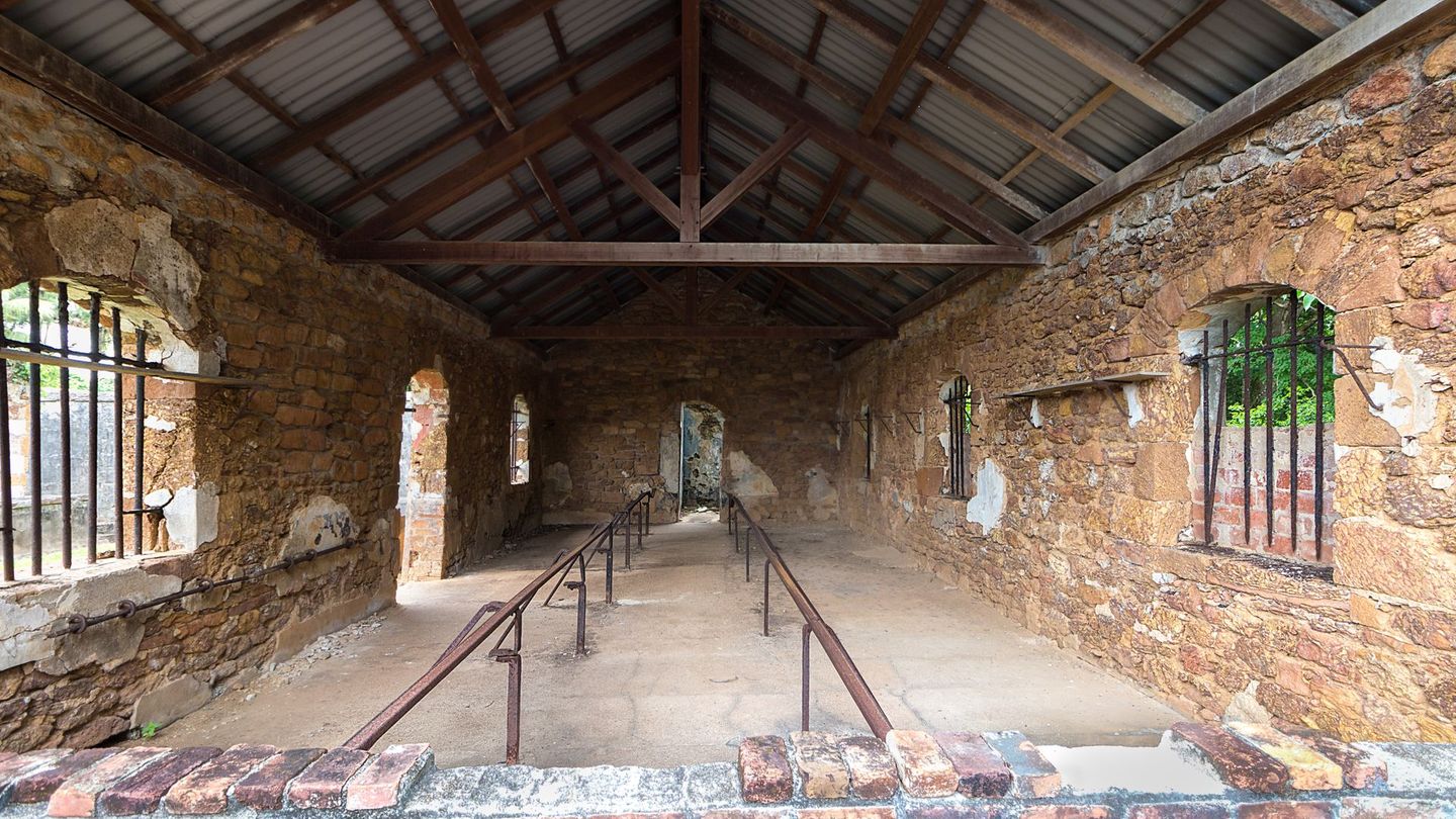 Haie und tropische Krankheiten