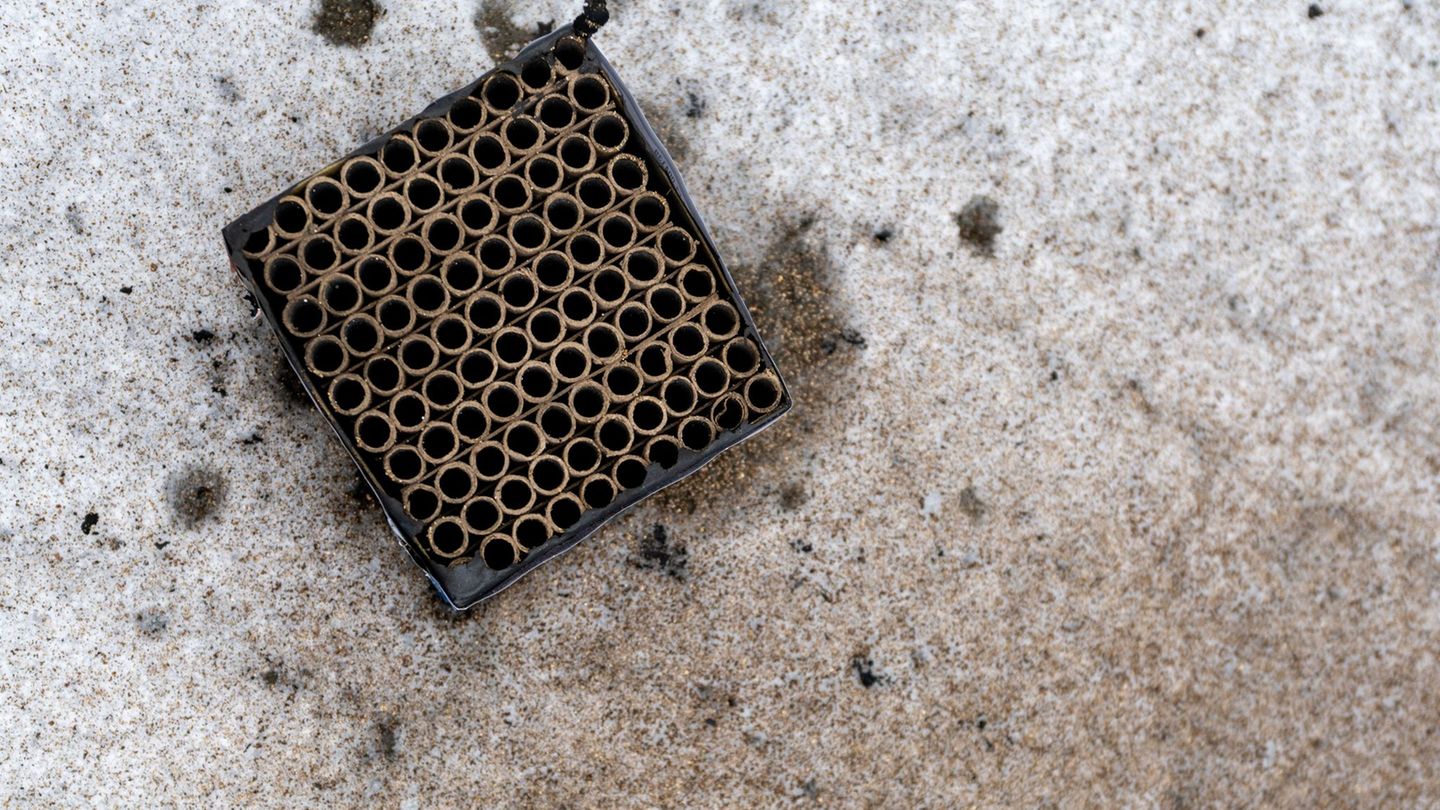Die Polizei spricht von einer Fehlfunktion der Feuerwerksbatterie. (Symbolbild) Foto: Pia Bayer/dpa