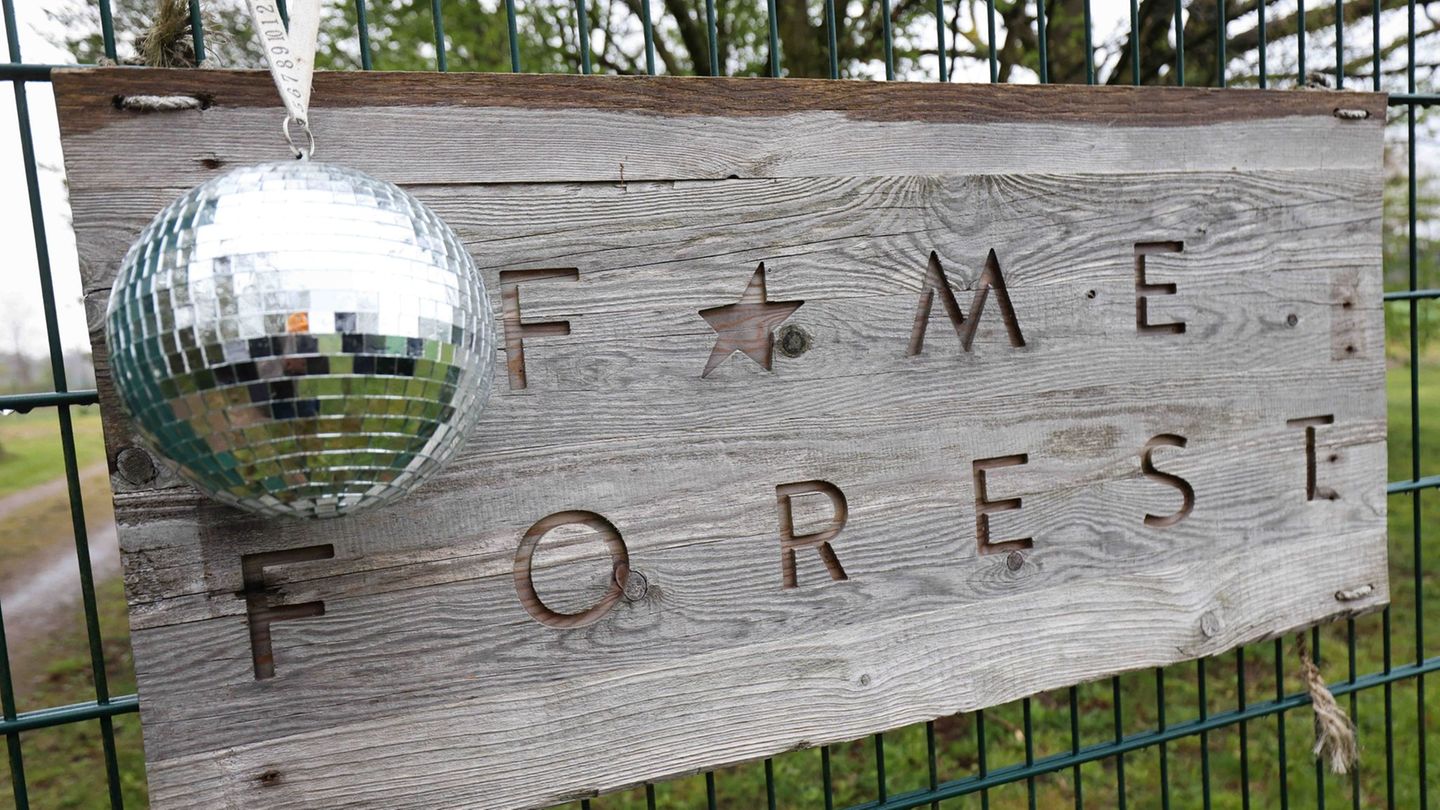 Erst Glitzer, Glamour und Nebelmaschine - dann Naturschutz mit einem eigenen Baum im Fame Forest. In und um Hamburg wird für jed