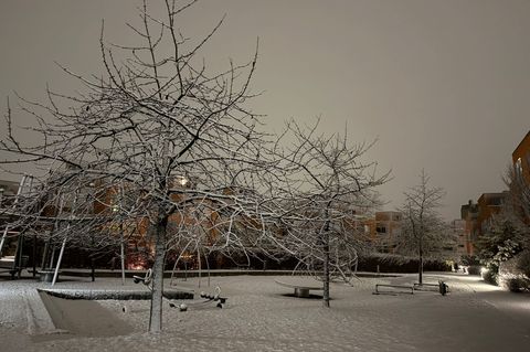 Es hat geschneit in Hamburg. Foto: Stephanie Lettgen/dpa