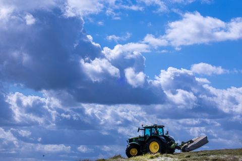 Es lohnt sich oft nicht: Die Produktionskosten für Agrarprodukte liegen teils über den Verkaufspreisen. (Archivbild) Foto: Jens