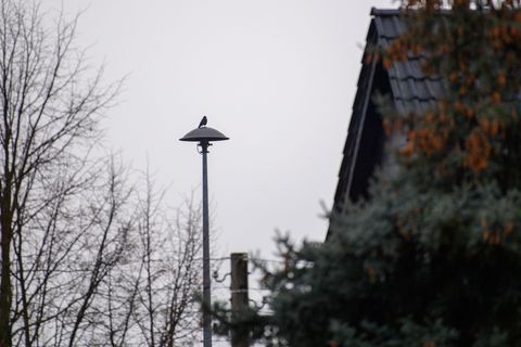 Rund 2.000 Sirenen gibt es in Sachsen-Anhalt, die im Notfall vor Gefahren warnen sollen - etwa bei Hochwasser. (Archivbild) Foto