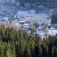 Hier ist die stärkste Partei die AfD: ein Dorf im Thüringer Wald