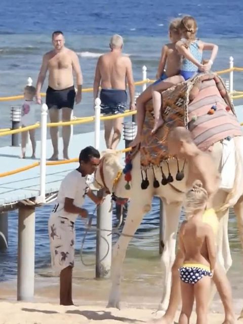 Ein Steg ins Meer mit Badegästen