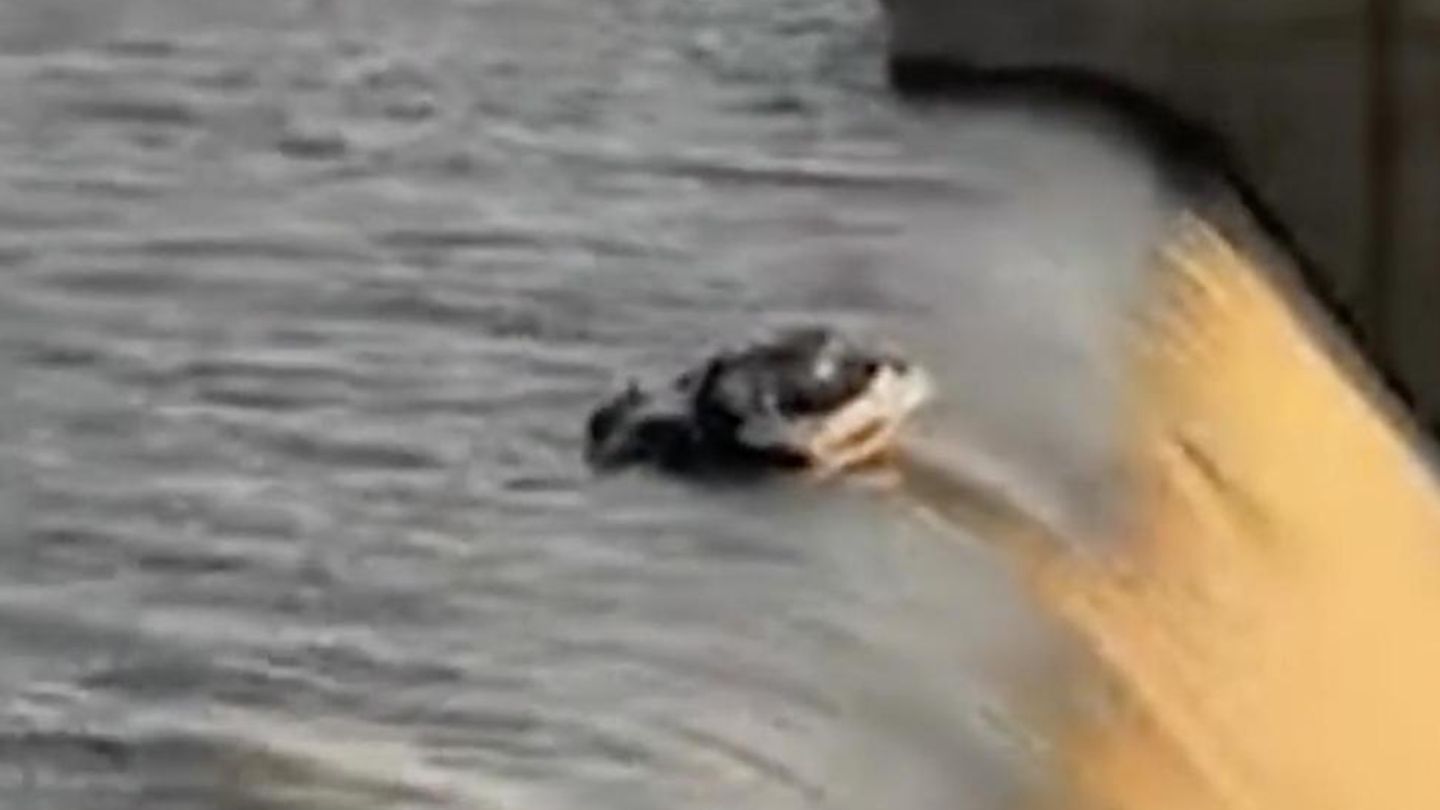 Stundenlanger Überlebenskampf: Nach Motorschaden: Männer ringen vor 40m tiefem Abgrund um ihr Leben