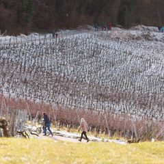 Für das Wochenende ist im Südwesten Bibberkälte vorhergesagt. Foto: Philipp von Ditfurth/dpa